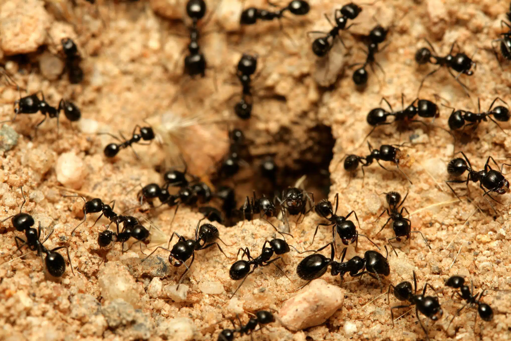 image-21-1024x683.png